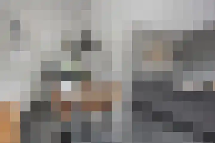 Valkappel 11 Lith thumbnail 16