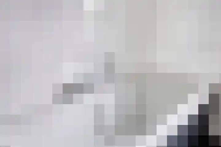 Valkappel 11 Lith thumbnail 24