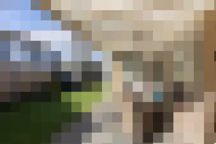 Valkappel 11 Lith thumbnail 28