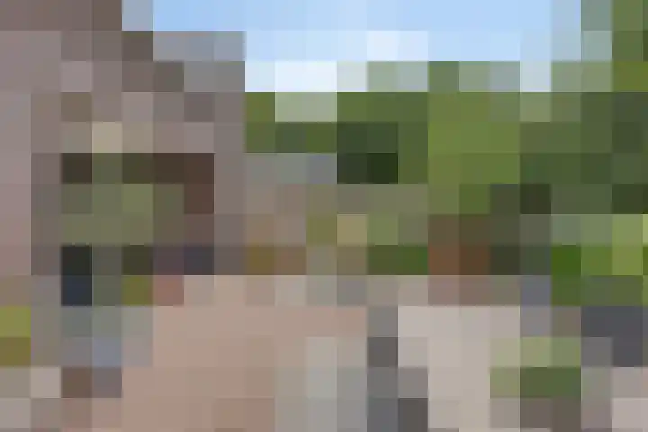 Valkappel 11 Lith thumbnail 39