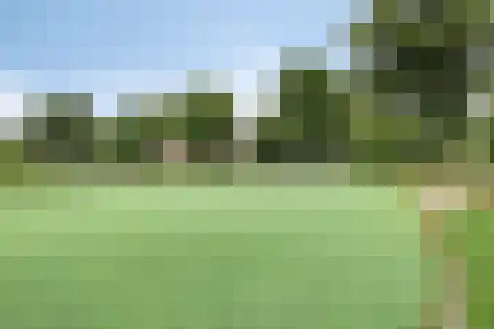Valkappel 11 Lith thumbnail 46