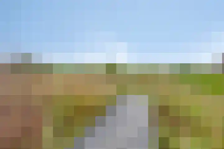 Valkappel 11 Lith thumbnail 47