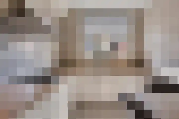 Valkappel 17 Helden thumbnail 13
