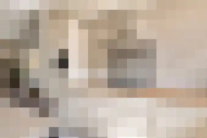 Valkappel 17 Helden thumbnail 15