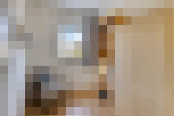 Valkappel 17 Helden thumbnail 23