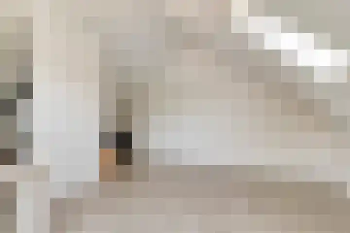 Valkappel 17 Helden thumbnail 25