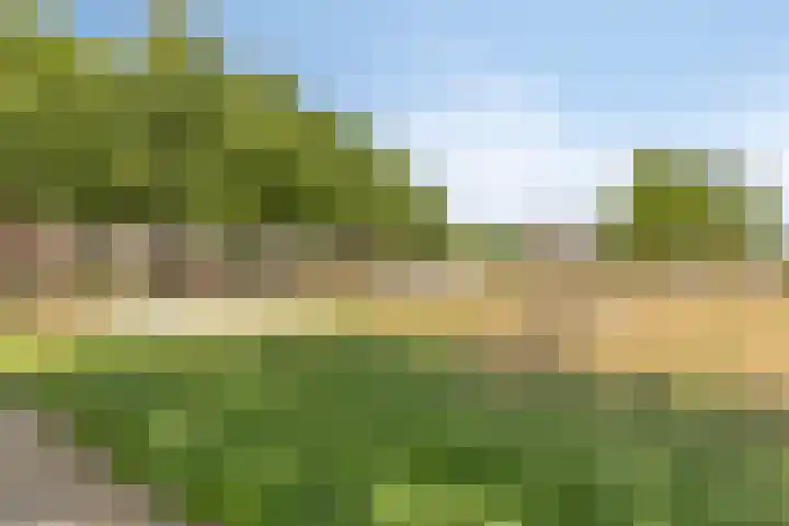 Valkappel 17 Helden thumbnail 32