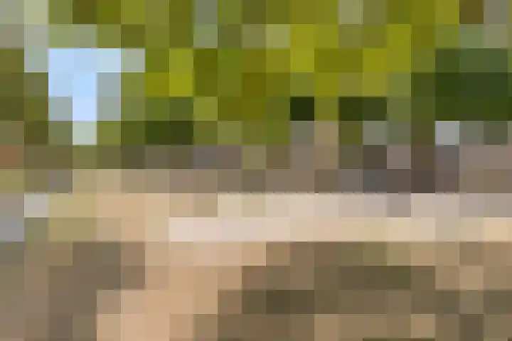 Valkappel 17 Helden thumbnail 33