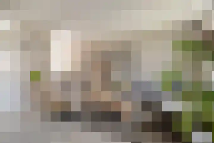 Valkappel 17 Helden thumbnail 9