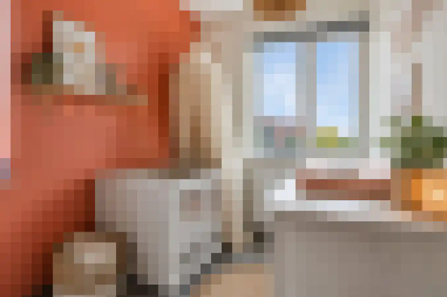 Valkappel 19 Lith thumbnail 12