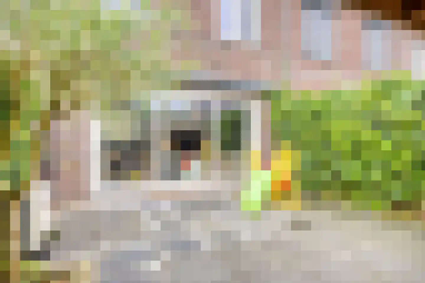 Valkappel 19 Lith thumbnail 17