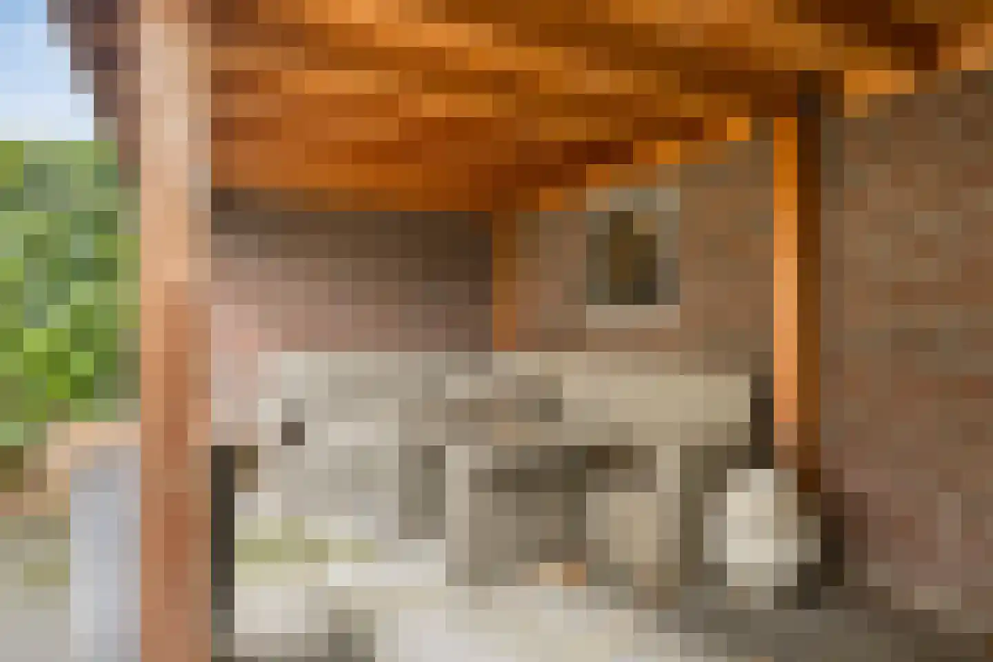 Valkappel 19 Lith thumbnail 18
