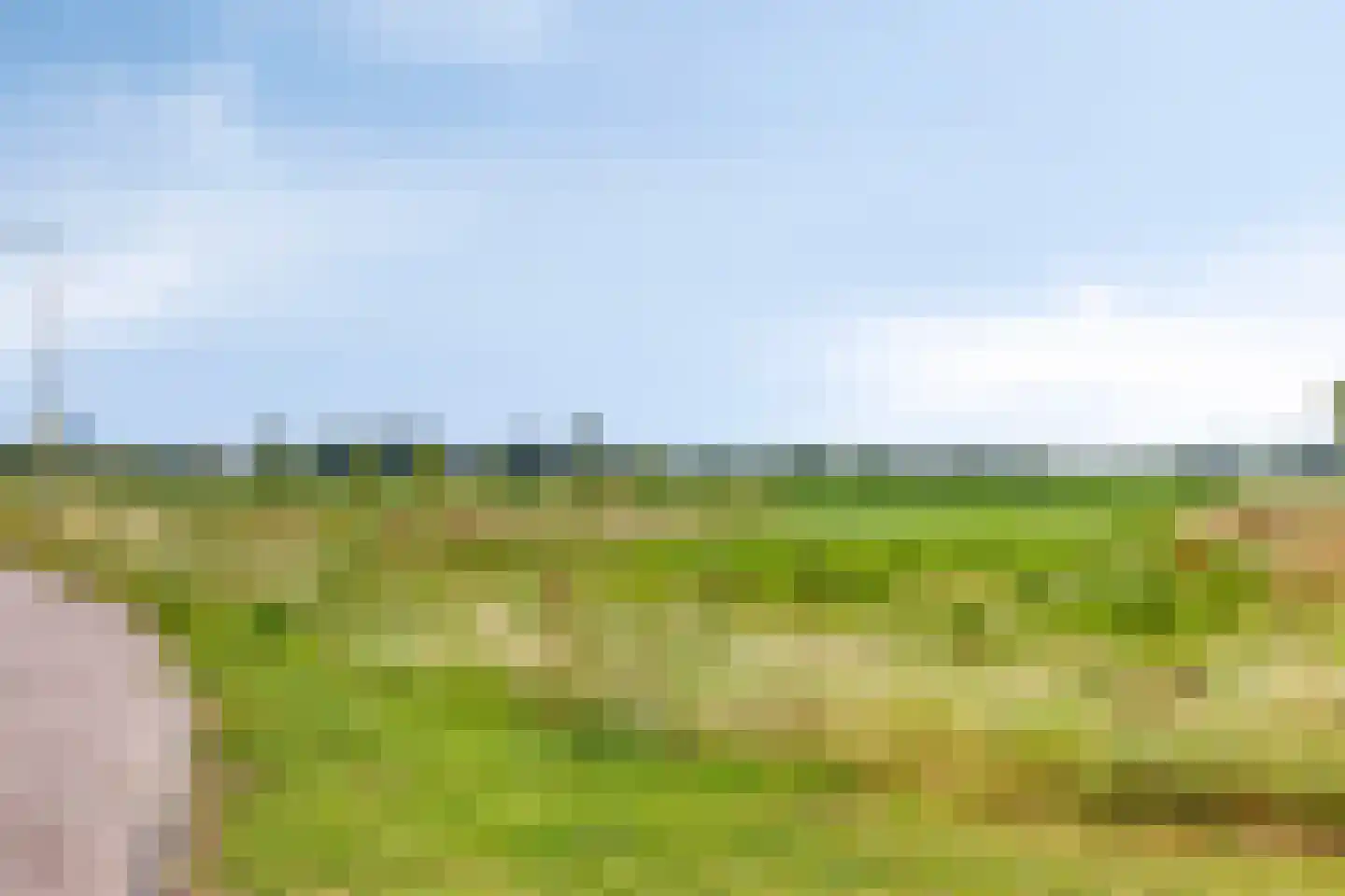 Valkappel 19 Lith thumbnail 21