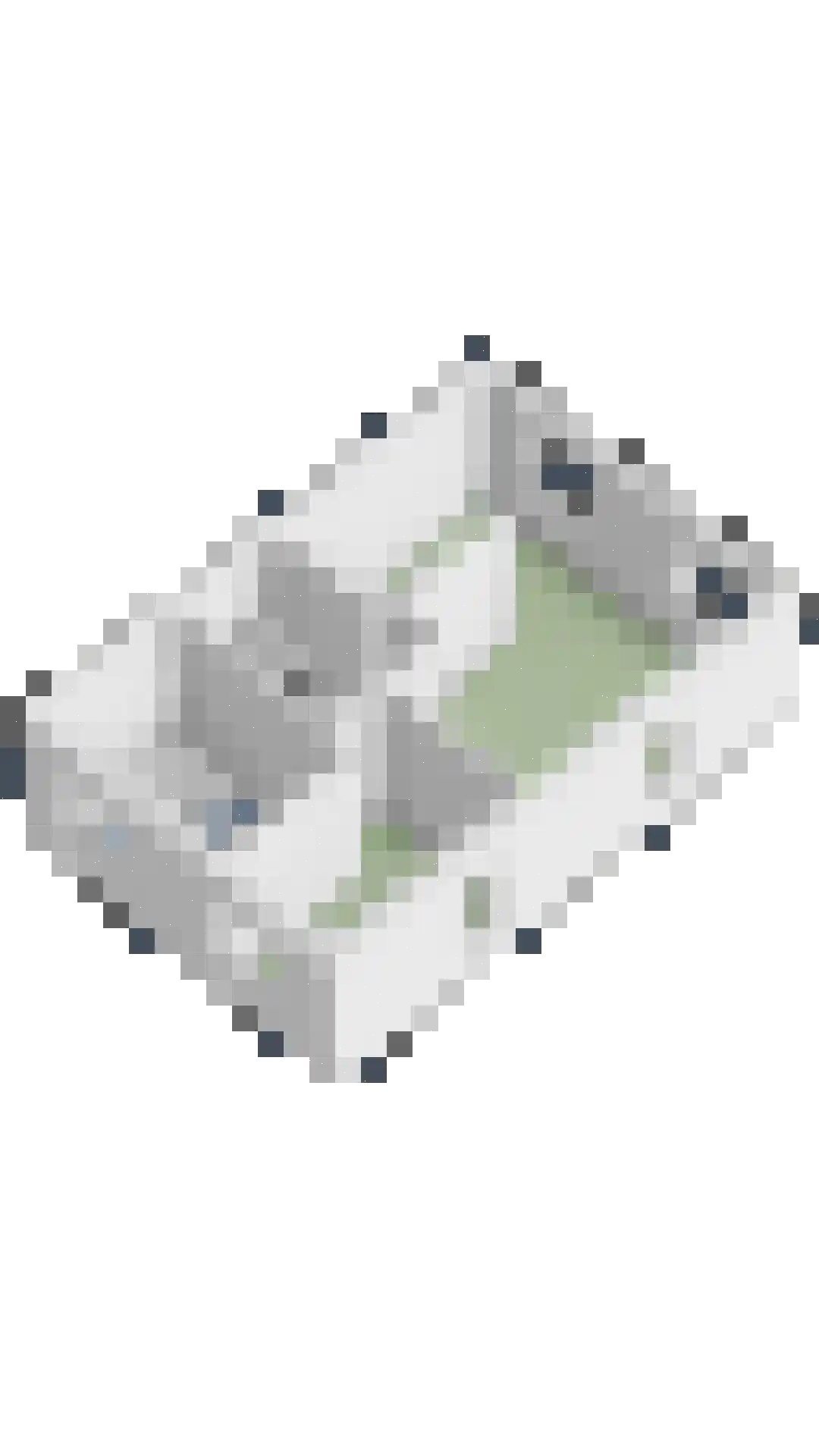 Valkappel 19 Lith thumbnail 27
