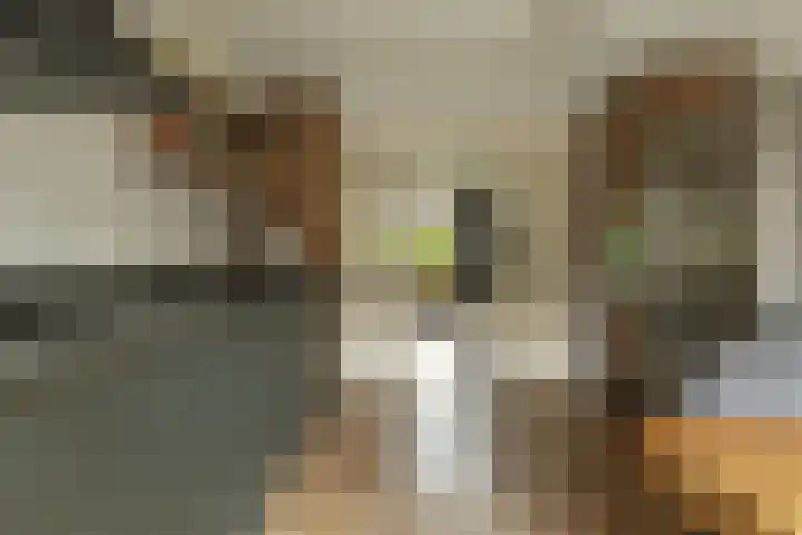 Valkappel 23 Hoogezand thumbnail 14