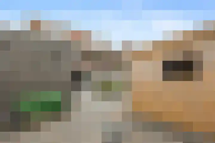 Valkappel 23 Hoogezand thumbnail 33