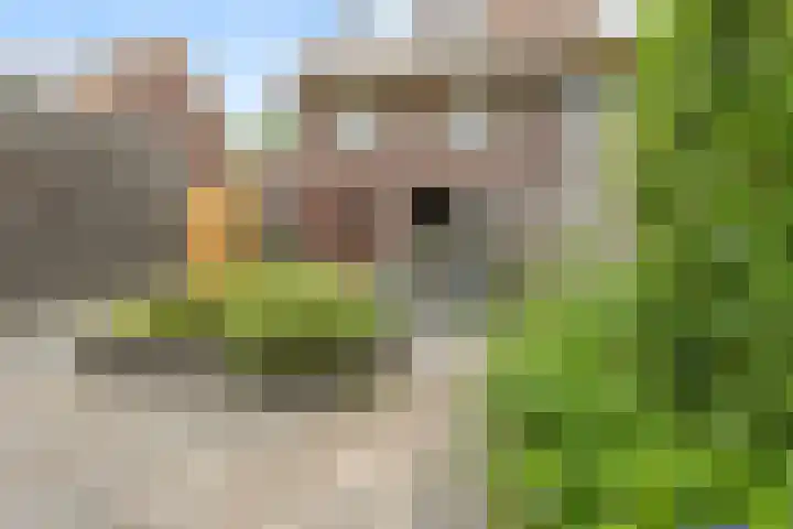 Valkappel 23 Hoogezand thumbnail 34