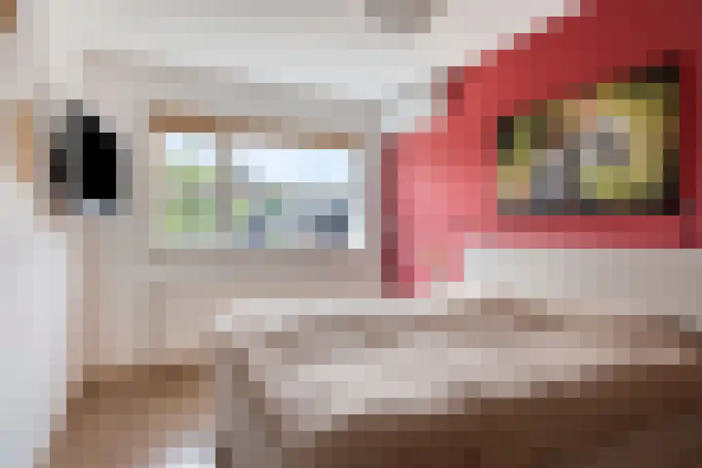 Valkappel 4 Helden thumbnail 24