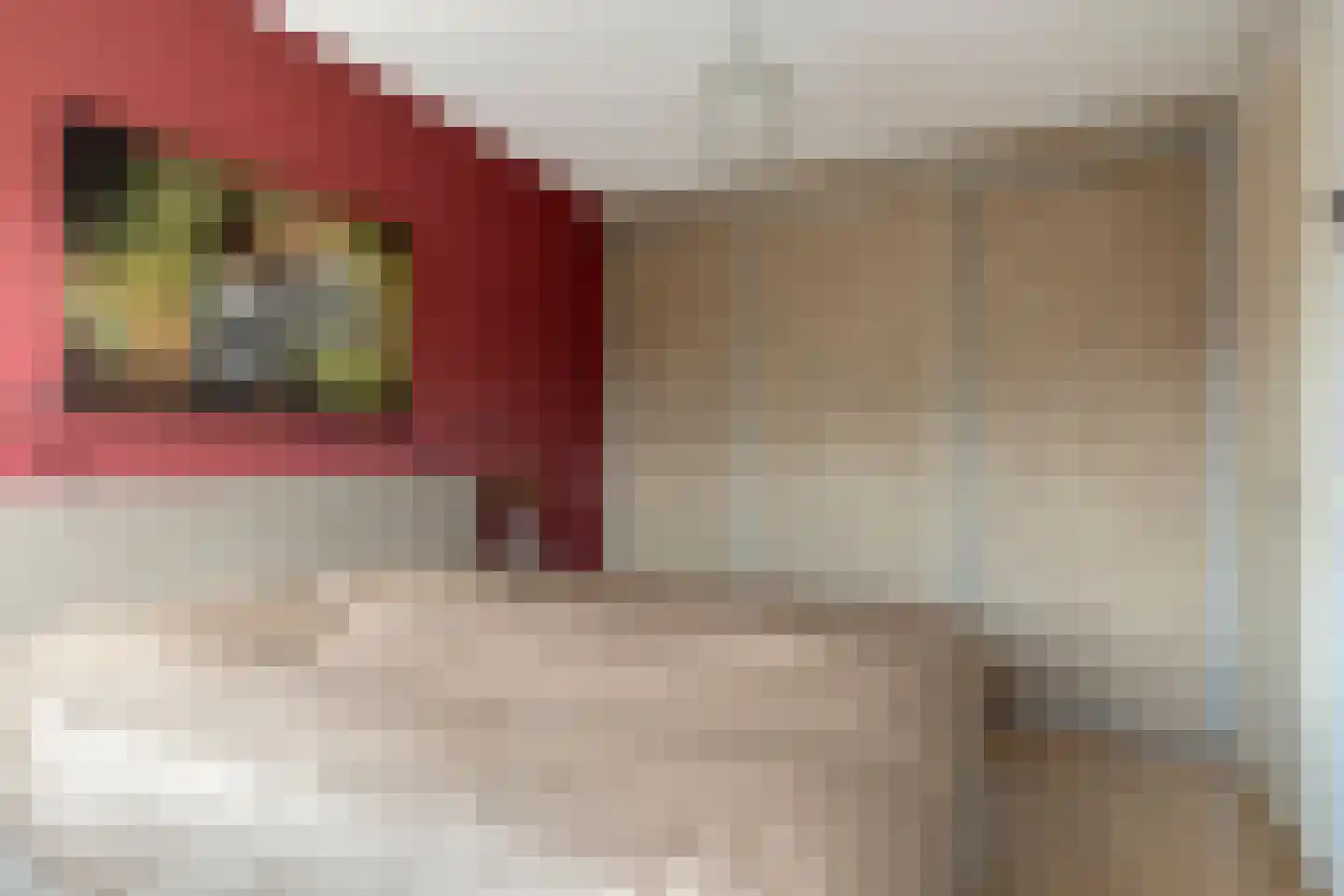 Valkappel 4 Helden thumbnail 25