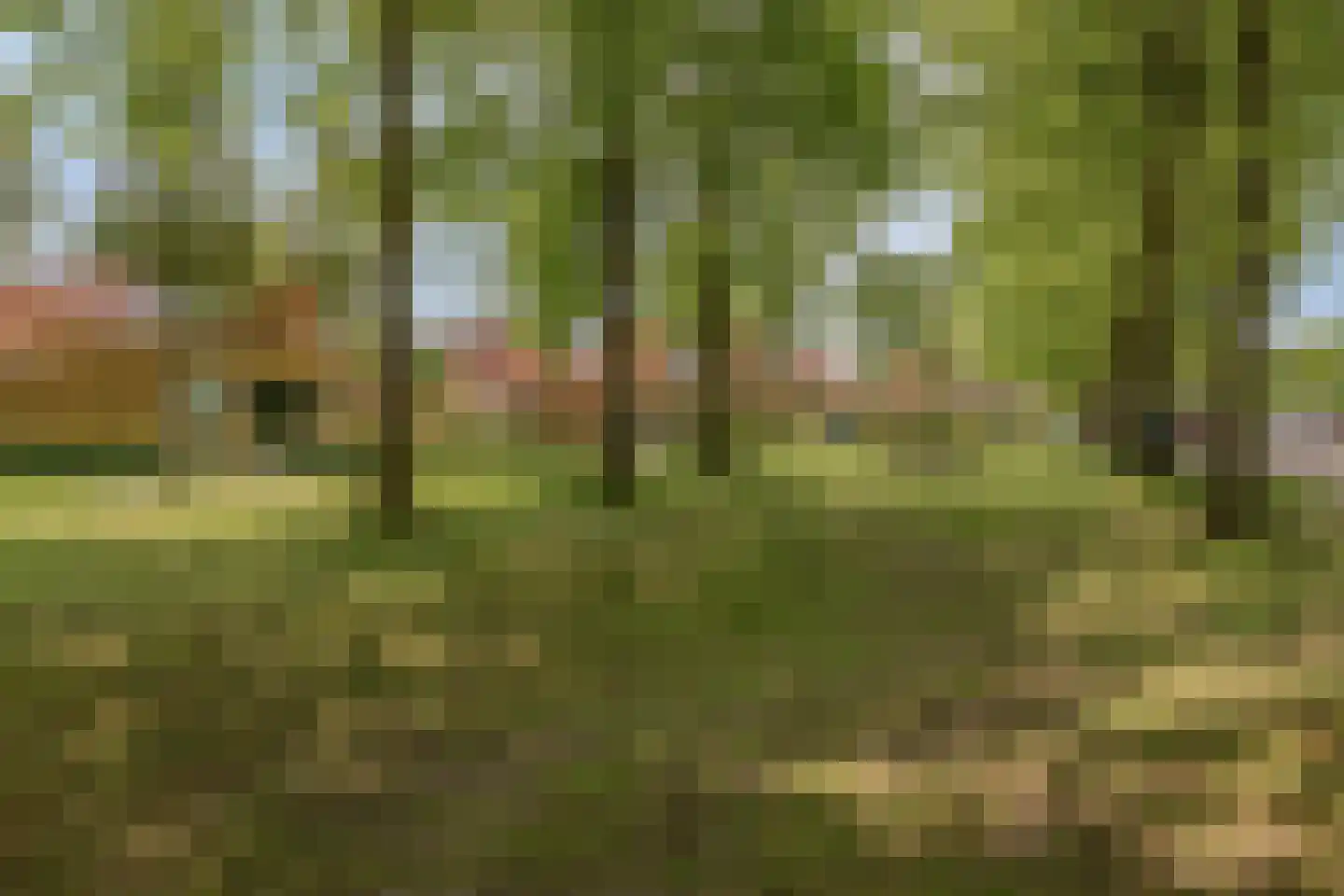 Valkappel 4 Helden thumbnail 41