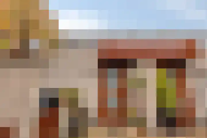 Valkastraat 8 Hoek van Holland thumbnail 8