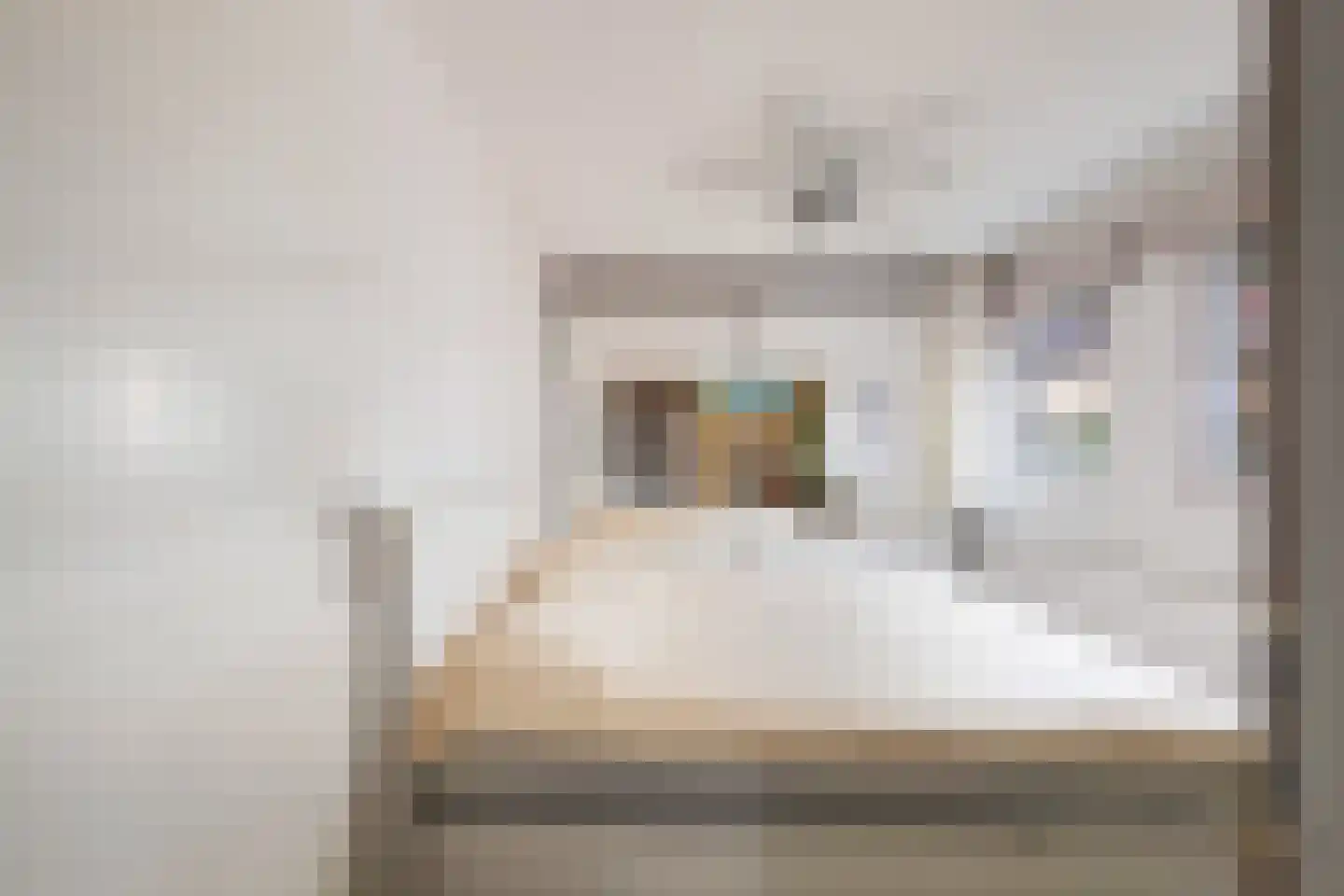 Valkehorst 24 Honselersdijk thumbnail 17