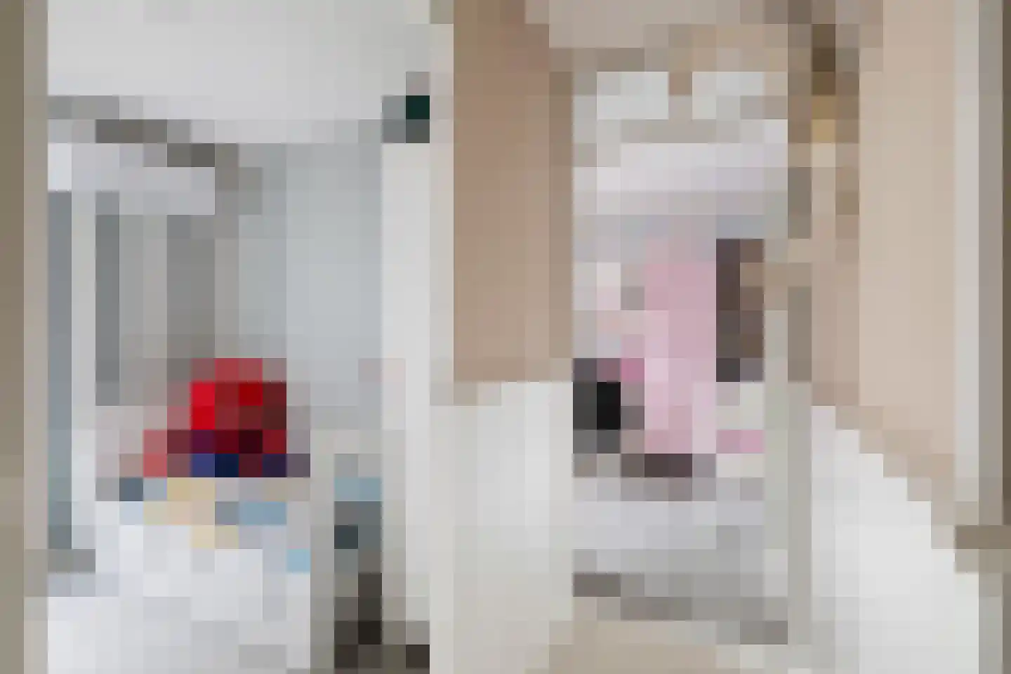 Valkehorst 24 Honselersdijk thumbnail 26