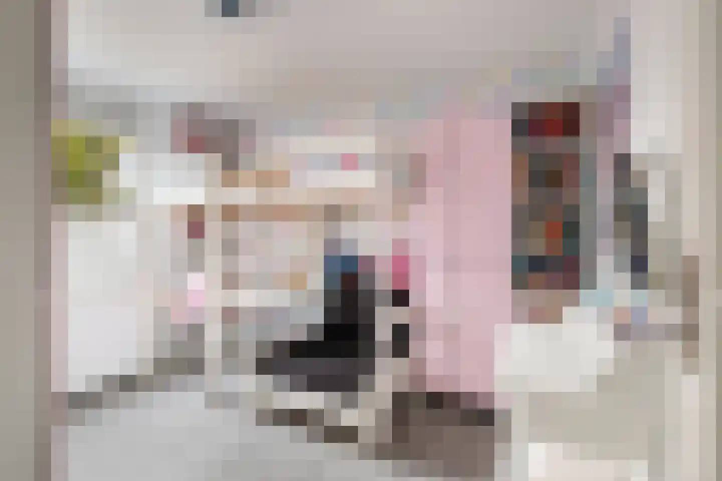 Valkehorst 24 Honselersdijk thumbnail 28