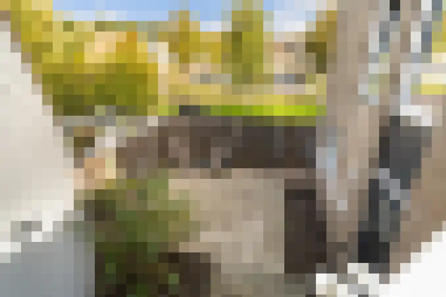 Valkehorst 24 Honselersdijk thumbnail 5