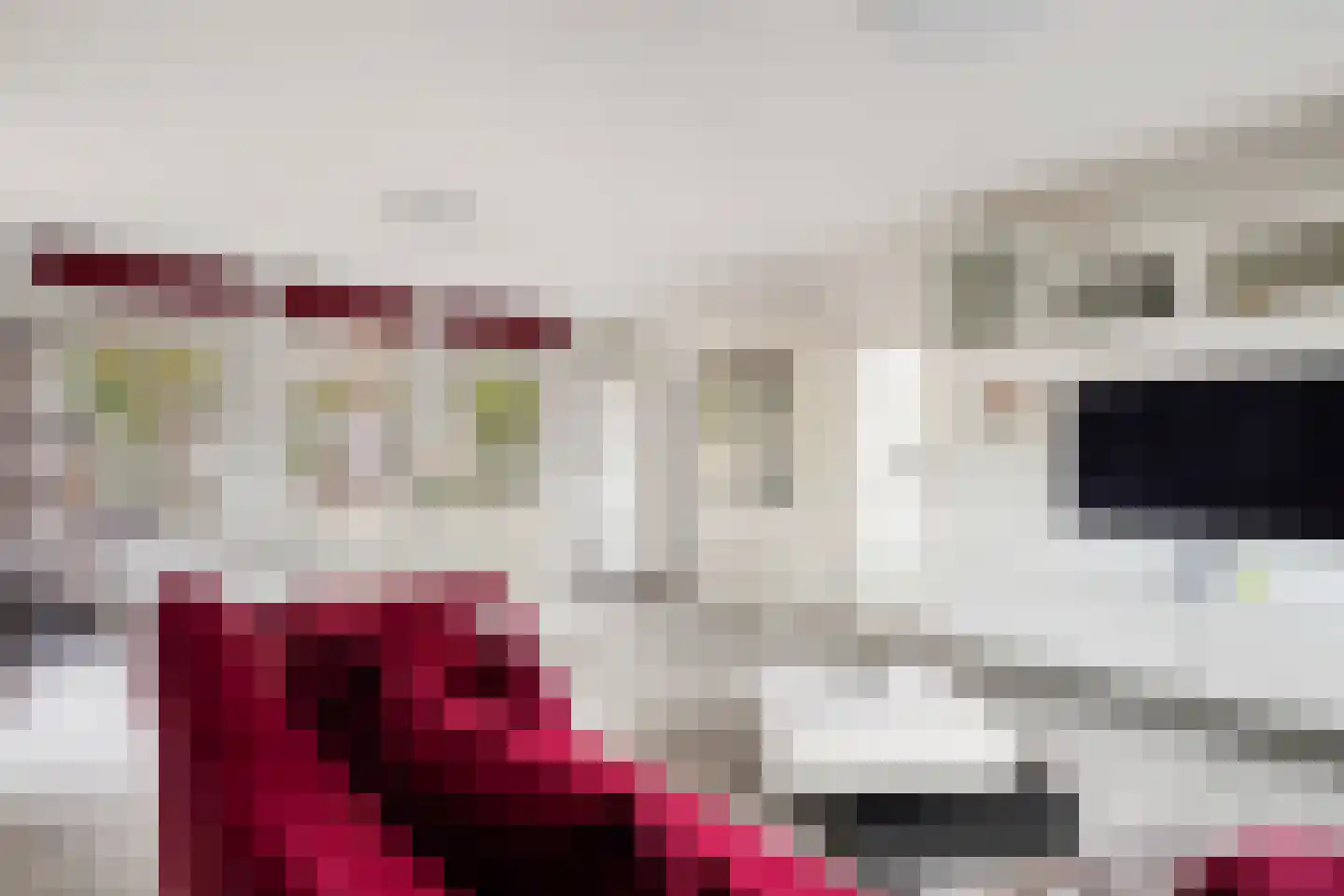 Valkehorst 24 Honselersdijk thumbnail 8