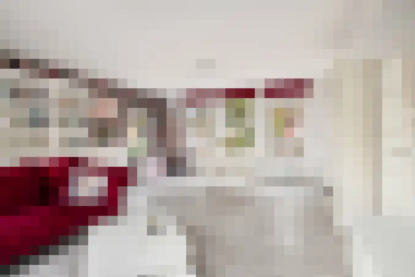 Valkehorst 24 Honselersdijk thumbnail 9