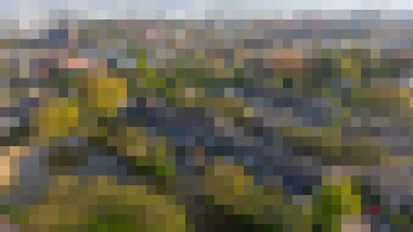 Valkehorst 46 Honselersdijk thumbnail 30