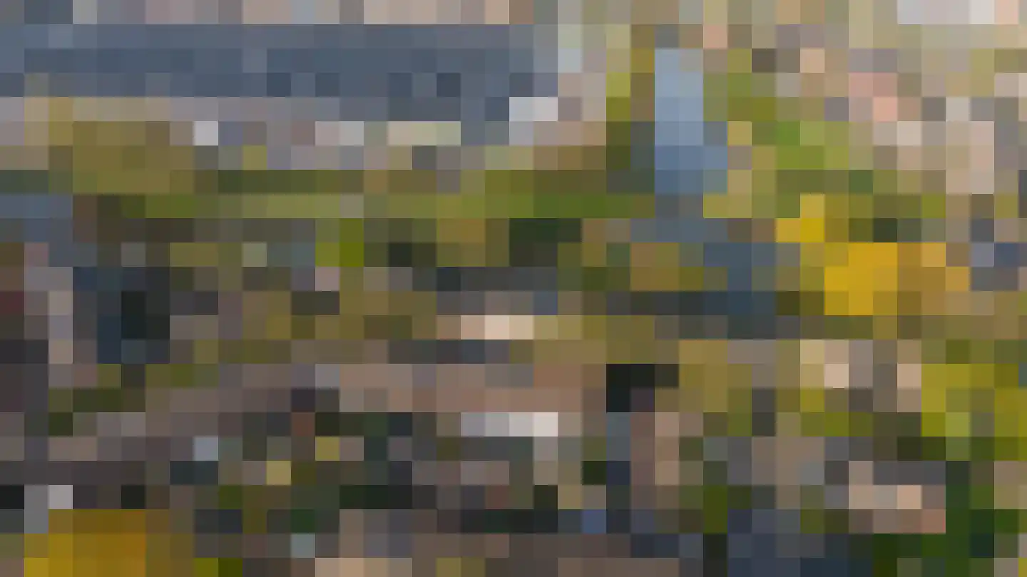 Valkehorst 46 Honselersdijk thumbnail 31