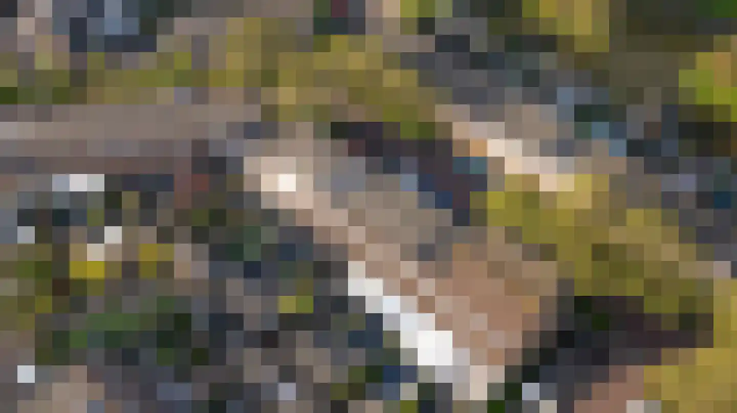Valkehorst 46 Honselersdijk thumbnail 5