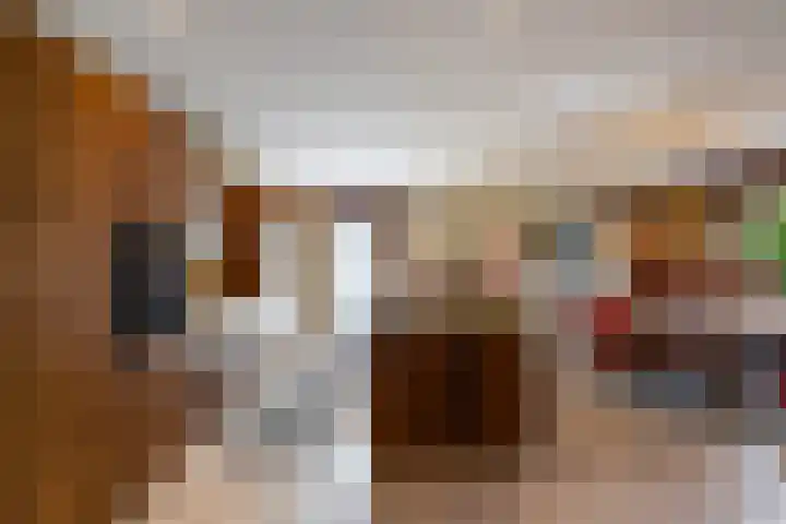 Valkehorst 60 Honselersdijk thumbnail 13