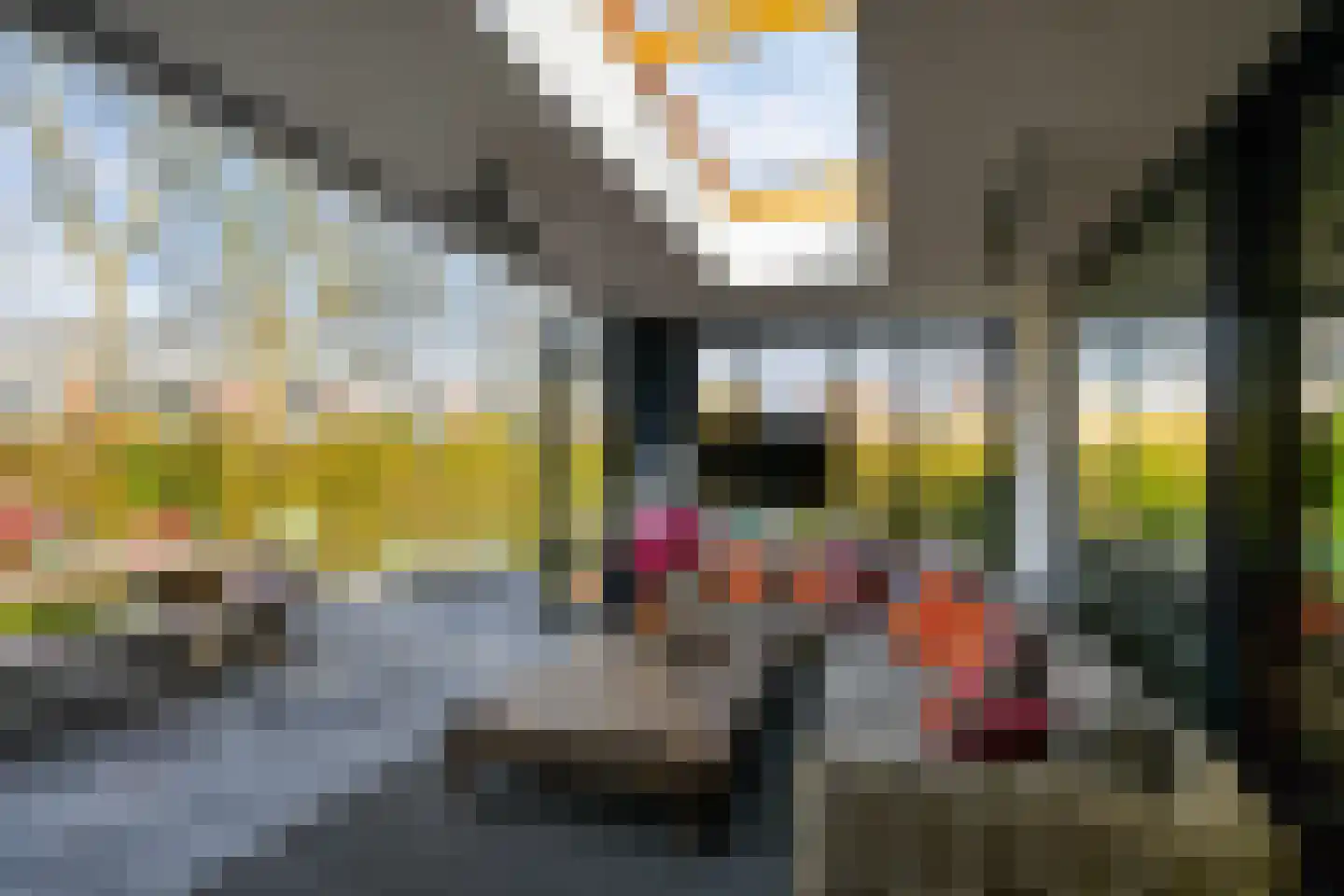 Valkehorst 60 Honselersdijk thumbnail 17