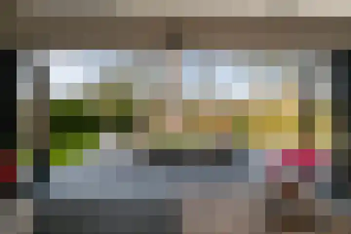 Valkehorst 60 Honselersdijk thumbnail 18