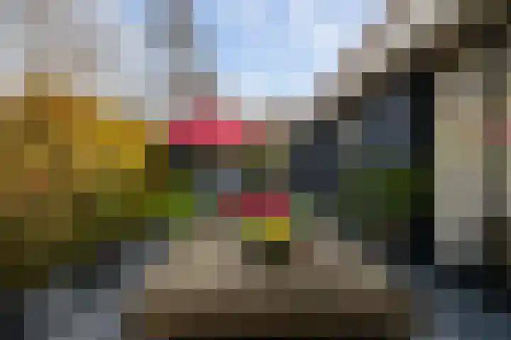 Valkehorst 60 Honselersdijk thumbnail 20