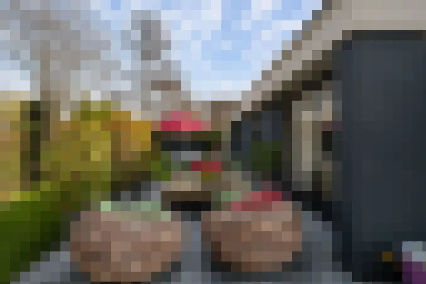 Valkehorst 60 Honselersdijk thumbnail 20