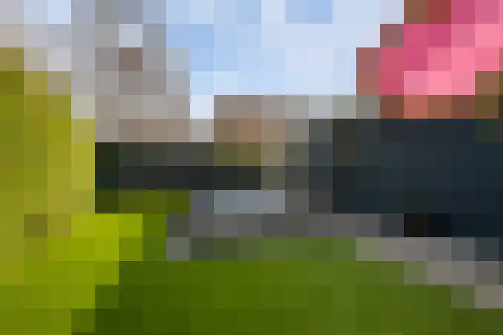 Valkehorst 60 Honselersdijk thumbnail 21