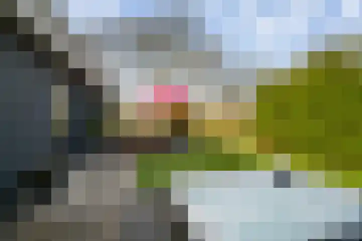 Valkehorst 60 Honselersdijk thumbnail 22