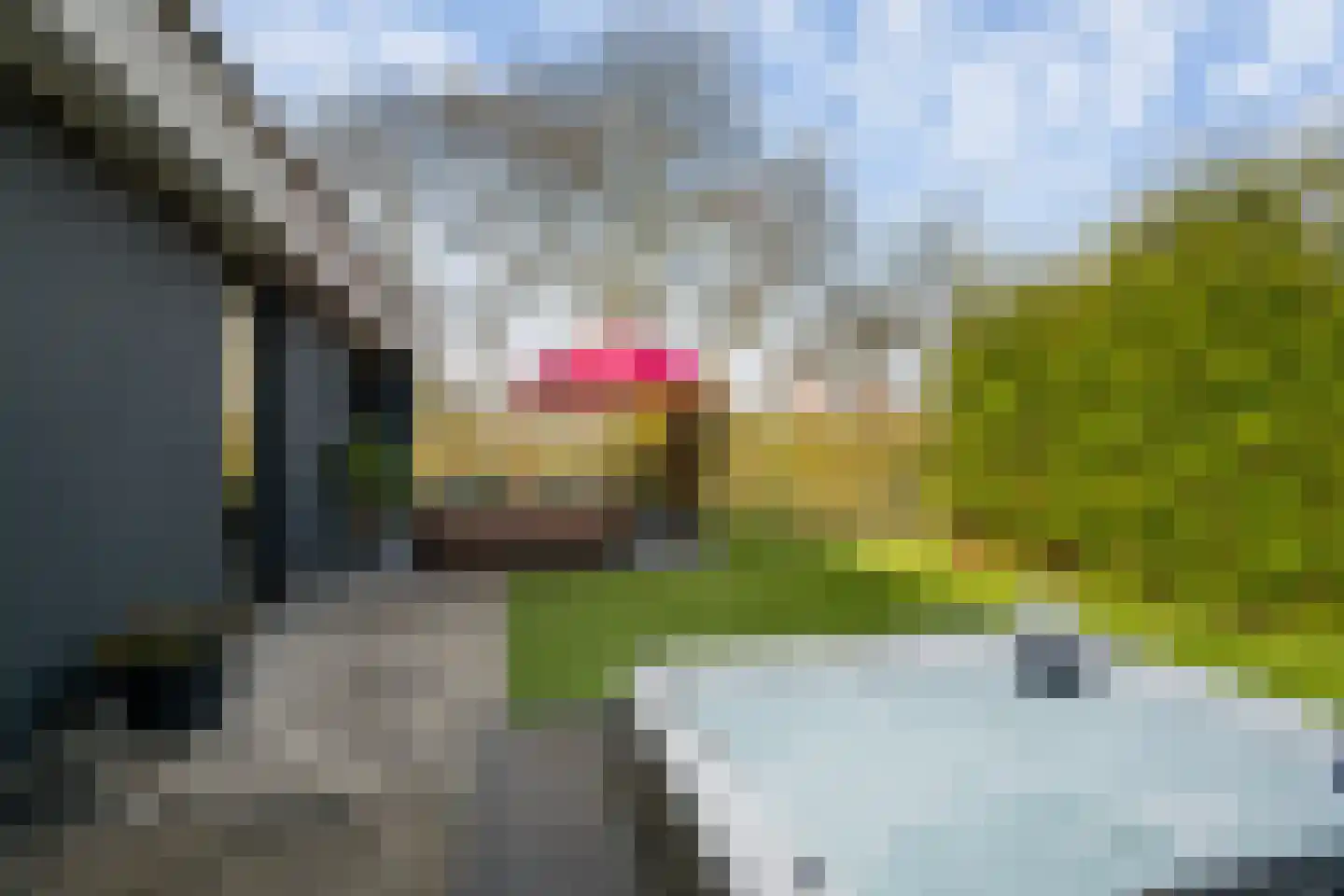 Valkehorst 60 Honselersdijk thumbnail 23