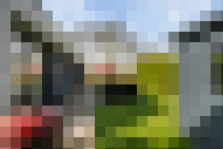 Valkehorst 60 Honselersdijk thumbnail 23