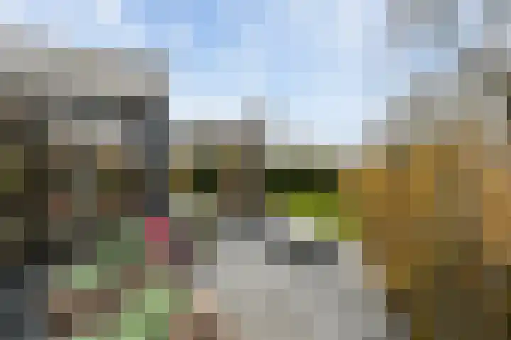 Valkehorst 60 Honselersdijk thumbnail 24