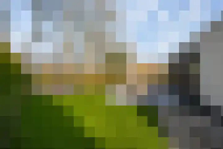 Valkehorst 60 Honselersdijk thumbnail 25