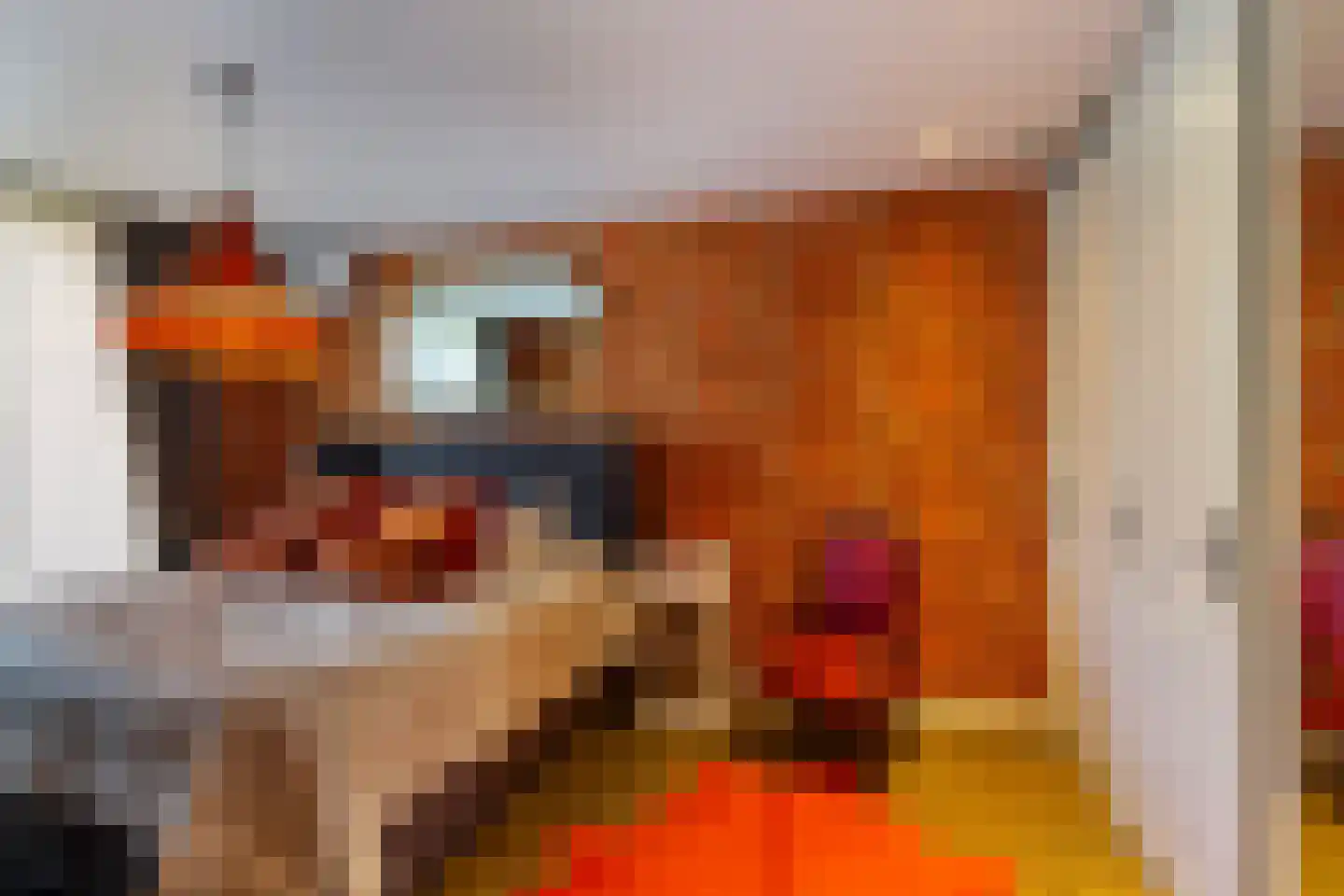 Valkehorst 60 Honselersdijk thumbnail 31