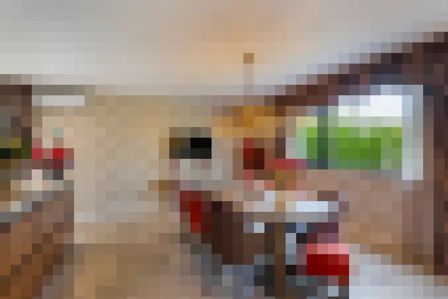 Valkehorst 60 Honselersdijk thumbnail 8