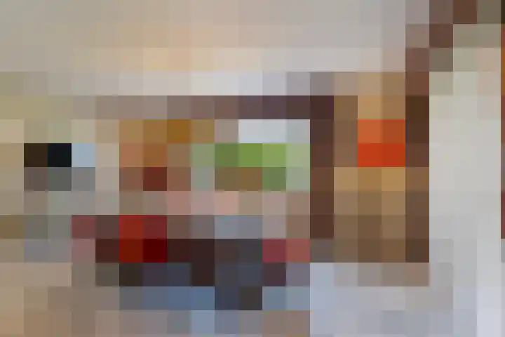 Valkehorst 60 Honselersdijk thumbnail 8