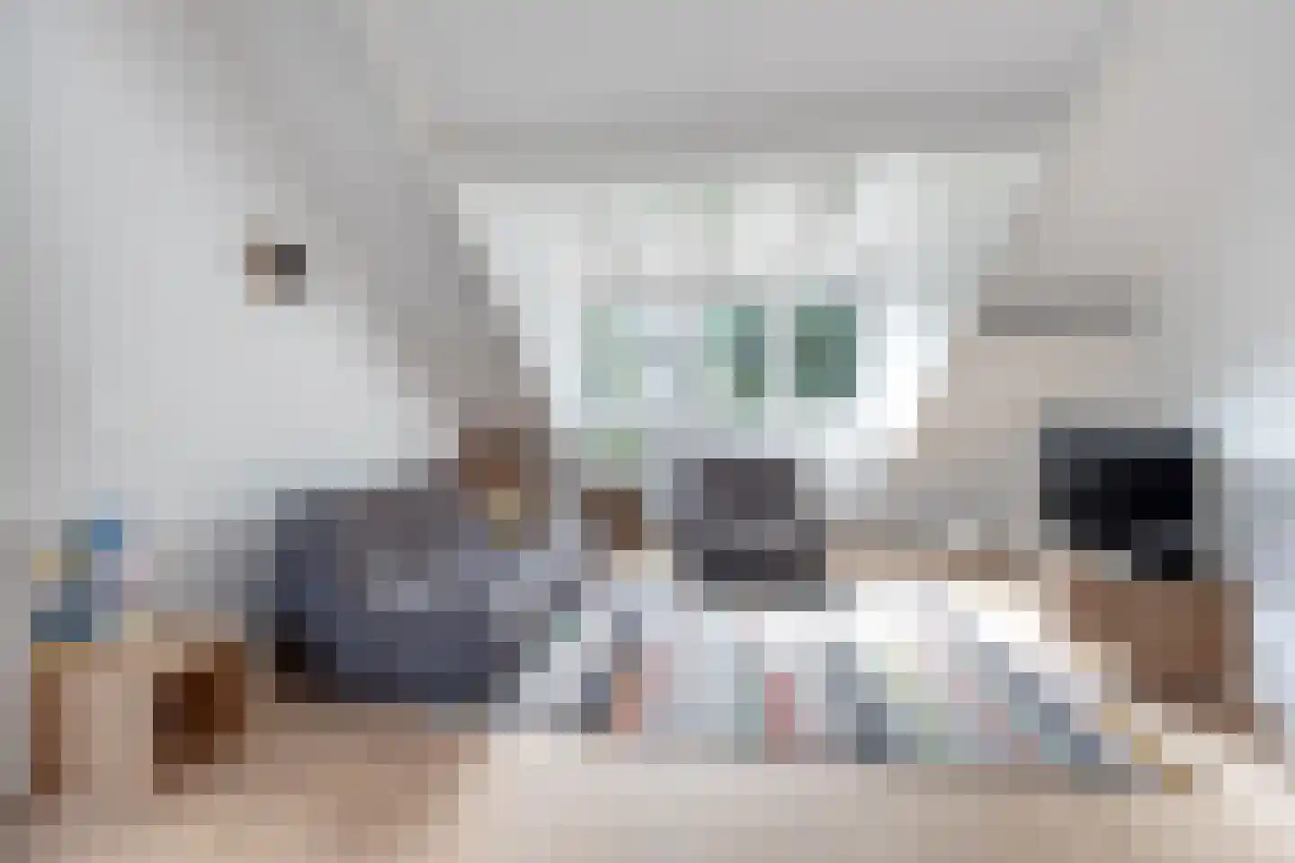 Valkenaarstraat 123 Huizen thumbnail 12