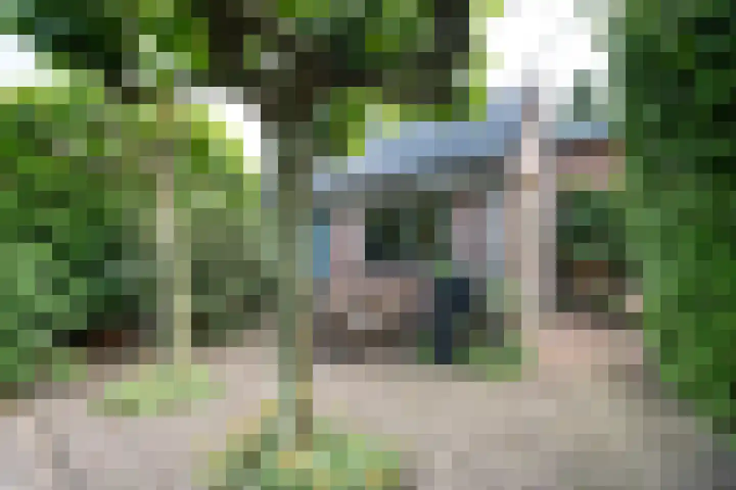 Valkenaarstraat 123 Huizen thumbnail 20